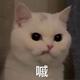 chenyuli1995头像
