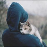 xigua_gua的个人资料头像