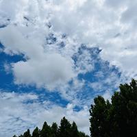 用户548624833609头像