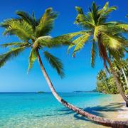 用户6733253637486的个人资料头像