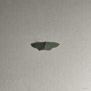 壹零贰室的个人资料头像