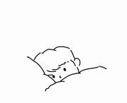 yoky_Chen的个人资料头像