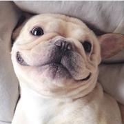 小小月苋草的个人资料头像