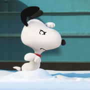 1470819547000的个人资料头像