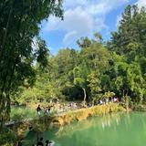 理想家的日常头像