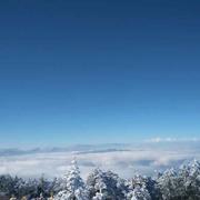 StandCarry的个人资料头像