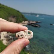 秘语凉夏的个人资料头像