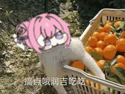 搞点哦润吉吃吃的个人资料头像