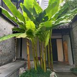 关山无行头像