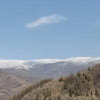 一往无前漂流瓶Ly头像