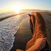 普通weber的个人资料头像