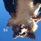 TtTtTtTyT头像