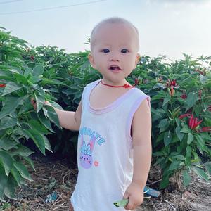 家有二百万头像