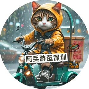 阿兵游逛深圳头像