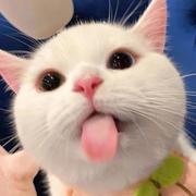 higherthandeer的个人资料头像