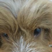 sorryMaker1023的个人资料头像