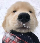 _CHEN_的个人资料头像