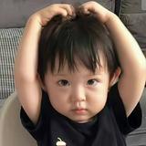 月亮抱抱鲨603头像