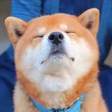 用户6760792270372头像