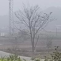 奋发有为光束WMr头像