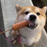 什么牛马9527头像