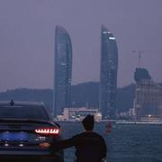 雏鸟出巢的个人资料头像