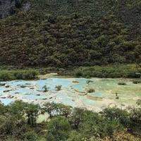 认真的扑克emm头像