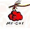 MrCar的个人资料头像