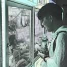 南的方的个人资料头像