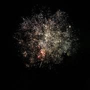 4号小窝的个人资料头像