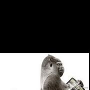 猛兽的个人资料头像