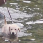 zheng08hui的个人资料头像