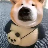 用户5539967123413头像