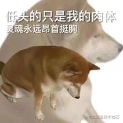 sbys的个人资料头像