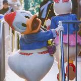 卖米线的鸭蛋小姐头像