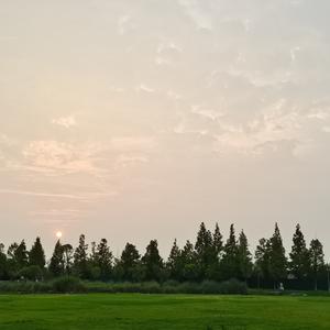 花海头像