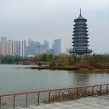 两筐猪鸡喵鹅头像