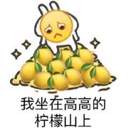 风原的个人资料头像