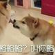 音响不响哪都响头像