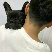 IGY的个人资料头像