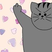 Jimmy212的个人资料头像