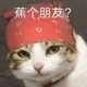 小仙女的游泳圈头像