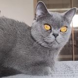 小馒头11号头像