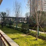 经开小沈头像