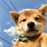 暖色浮余生728头像