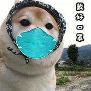 CallMeDoby的个人资料头像