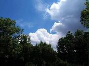 pay_ios的个人资料头像