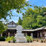 鲁丽精板建材运营商头像