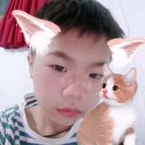 乐天在河南vlog头像