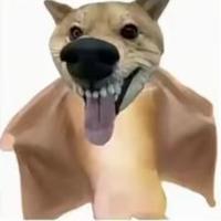 MxCity头像